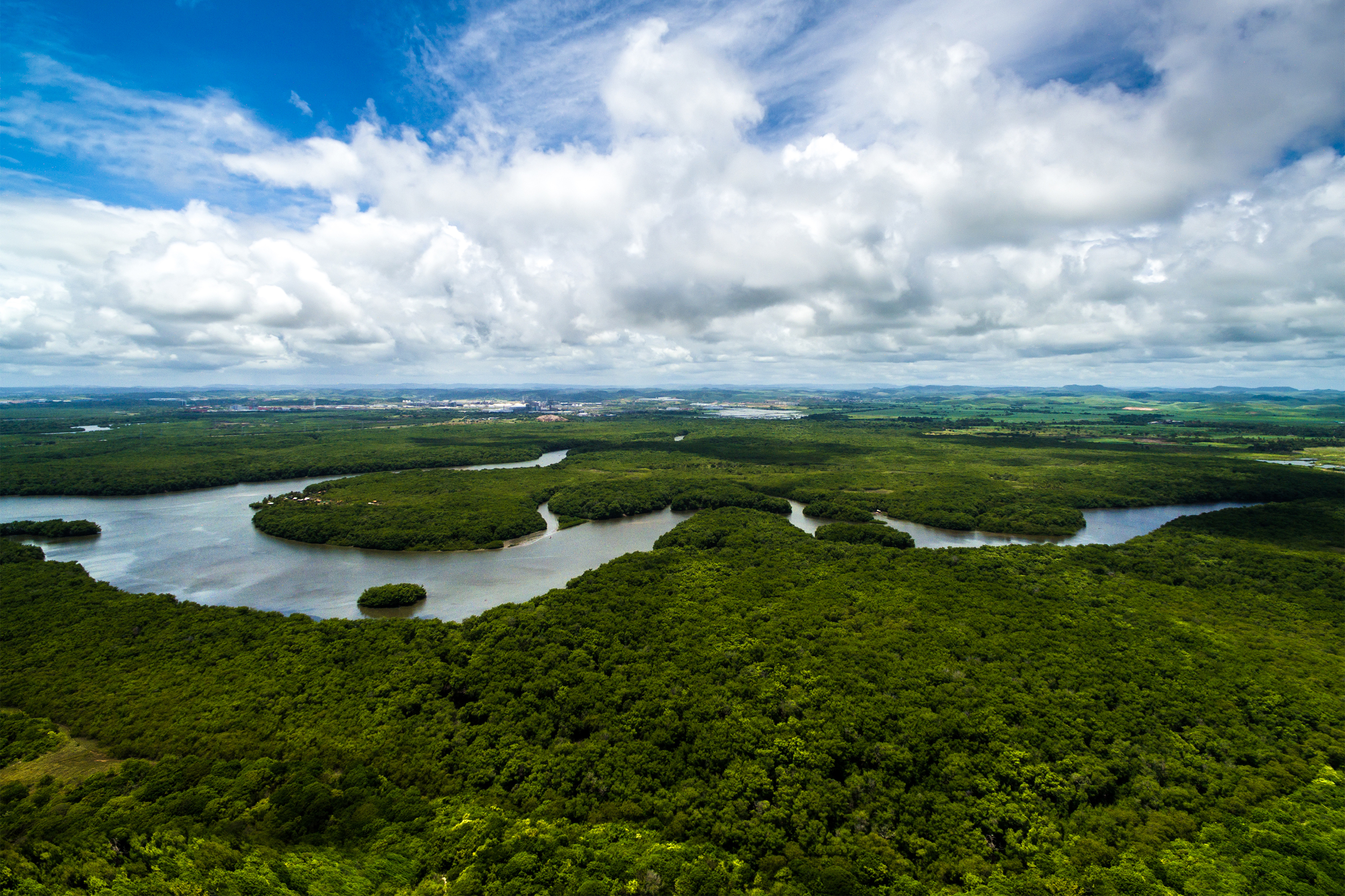Sínodo: A Amazônia pode salvar o mundo da fome, afirma padre João Mometti