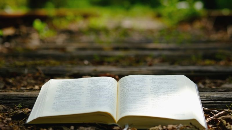 Como ler e entender a Bíblia?