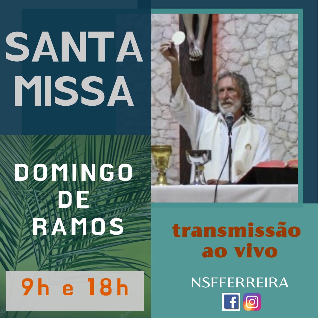 Folheto Da Missa De Domingo De Ramos 2024 Image to u
